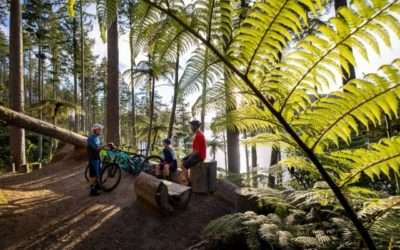 Rotorua is the perfect spot for a long weekend with your mates